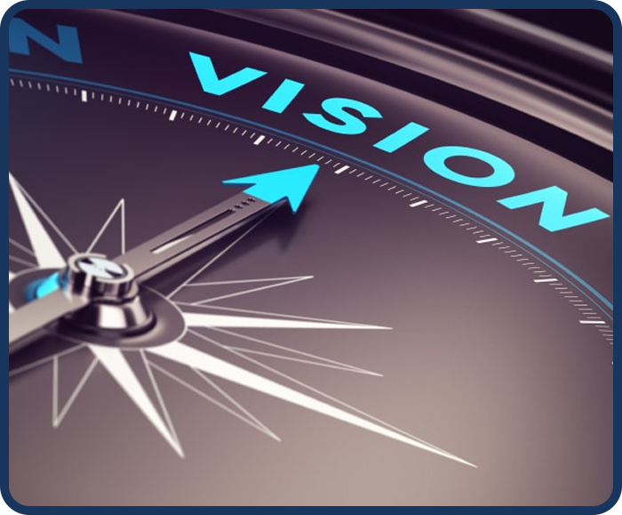 vision